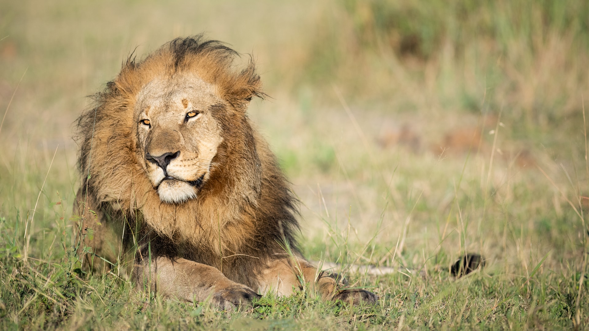 Escape_Safari_Co_SOUTH_AFRICA_Slider_Main