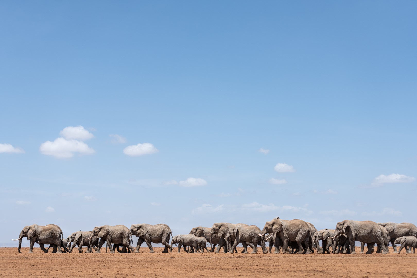 Amboseli 2021 - DH (30 of 32) (Large)