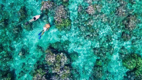 BEACH AND SAFARI (Custom)