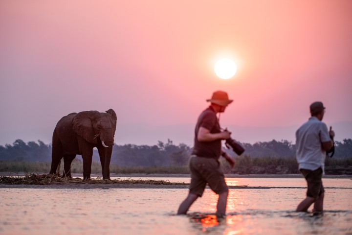 Escape Safari Co - Mike Sutherland (1 of 1)-12 (Small)