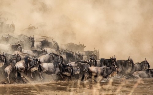 Escape Safari Co - Mike Sutherland (1 of 1)-28 (Custom)