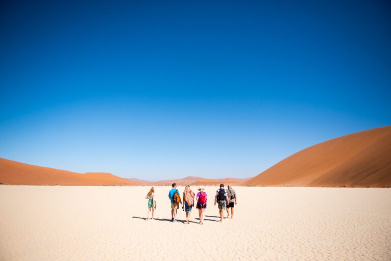 Escape Safari Co Safari Portal19 (Large)