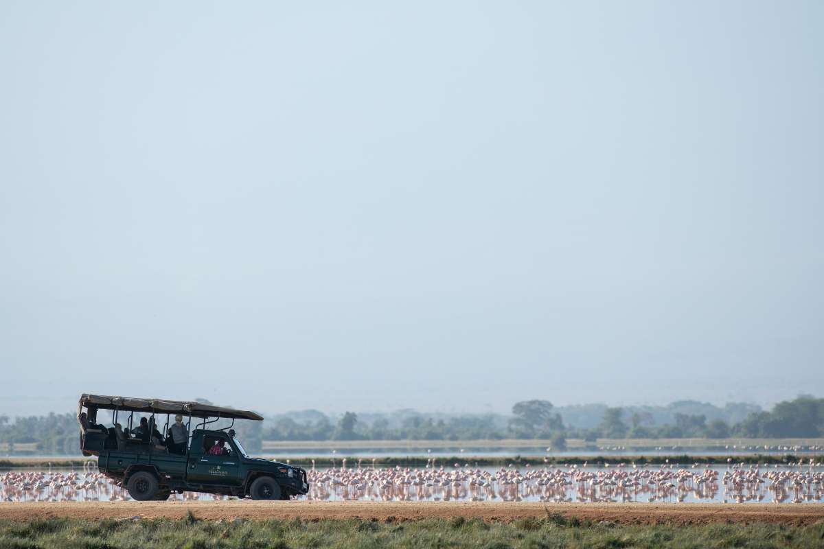 Amboselli, Kenya, Escape Safari Co