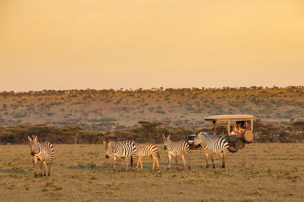 Great Plains, Mara Conservancies, Masai Mara, Kenya, Escape Safari Co