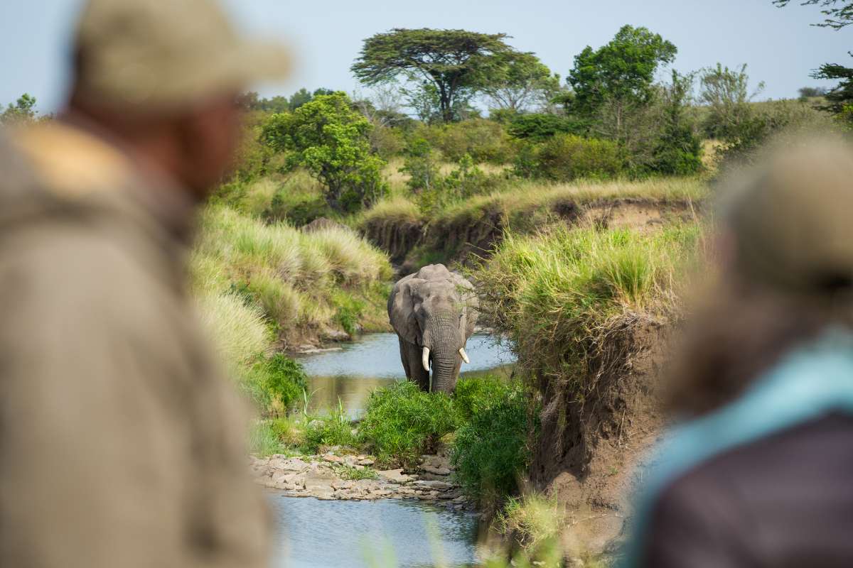 Great Plains, Mara Conservancies, Masai Mara, Kenya, Escape Safari Co