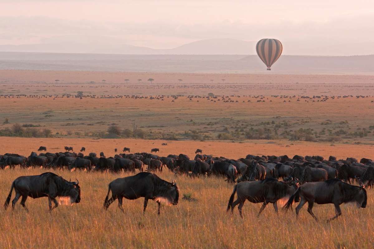 Masai Mara, Kenya, Escape Safari Co.