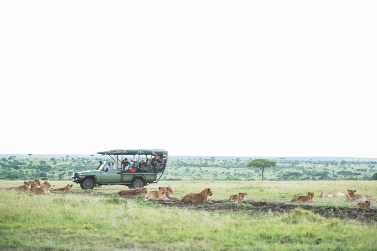 Masai Mara, Kenya, Escape Safari Co