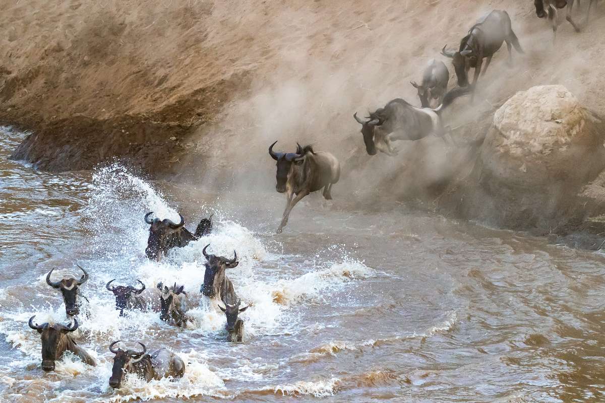 Masai Mara, Kenya, Escape Safari Co.