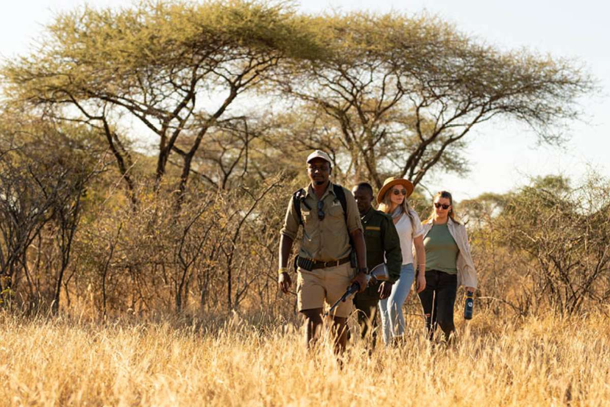 Asilia Jabali, Ruaha National Park, Tanzania, Escape Safari Co