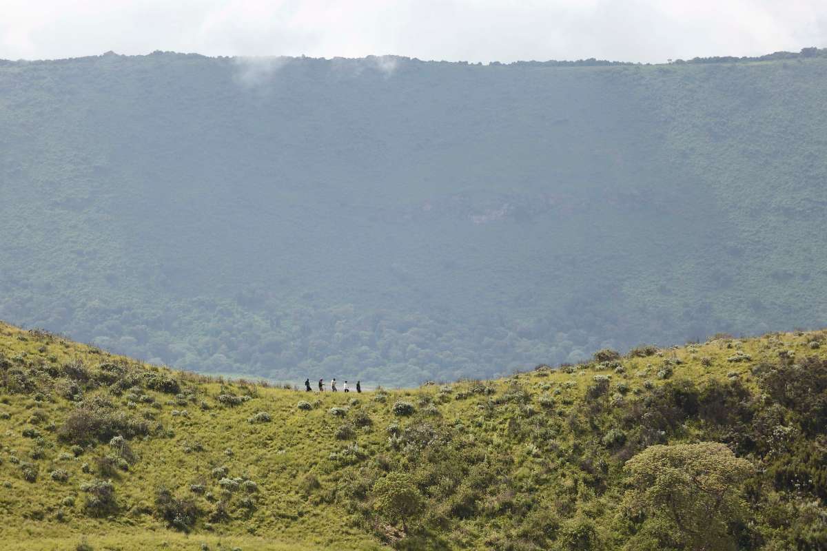 Asilia The Highlands, Ngorogoro, Tanzania, Escape Safari Co