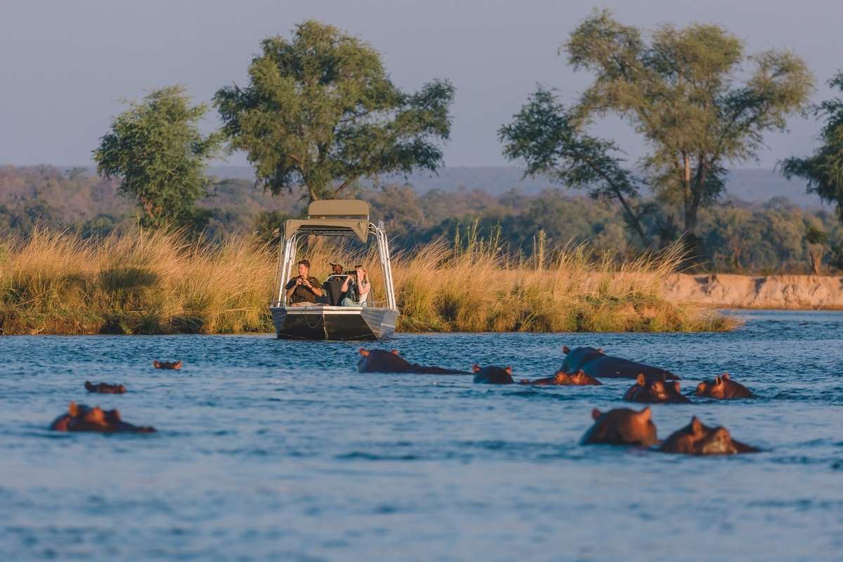 Classic Zambia, Chula Island Camp, Lower Zambezi, Zambia, Escape Safari Co