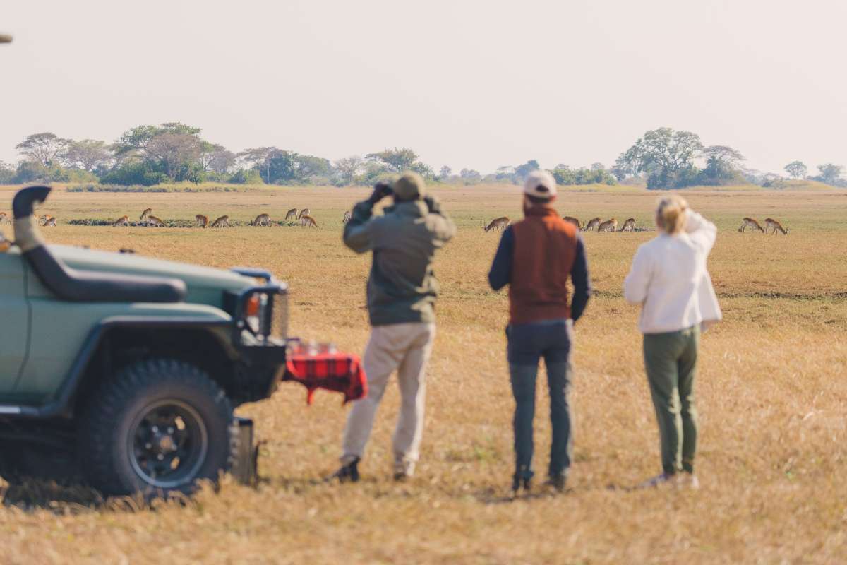 Classic Zambia, Musekese Camp, Kafue, Zambia