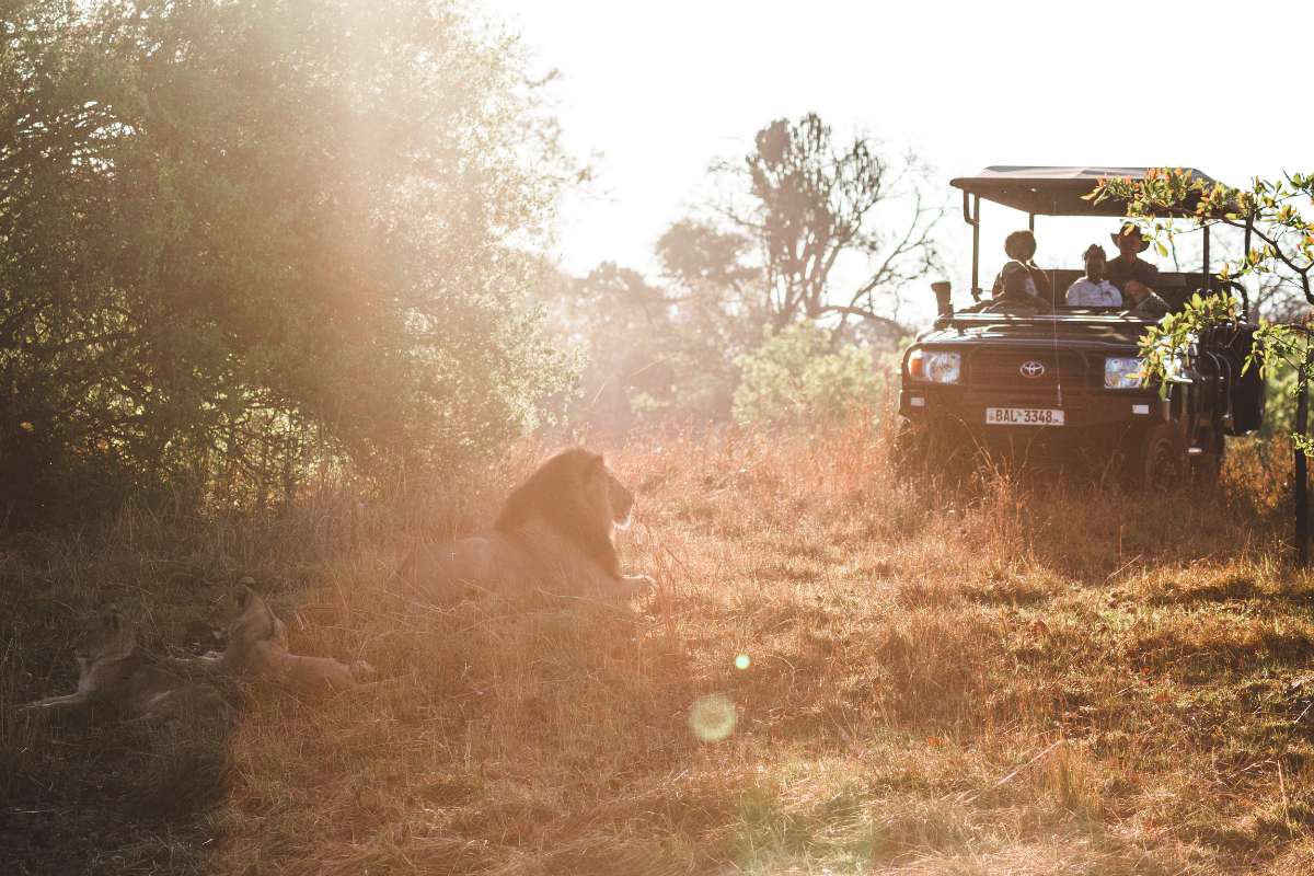 Classic Zambia, Musekese Camp, Kafue, Zambia