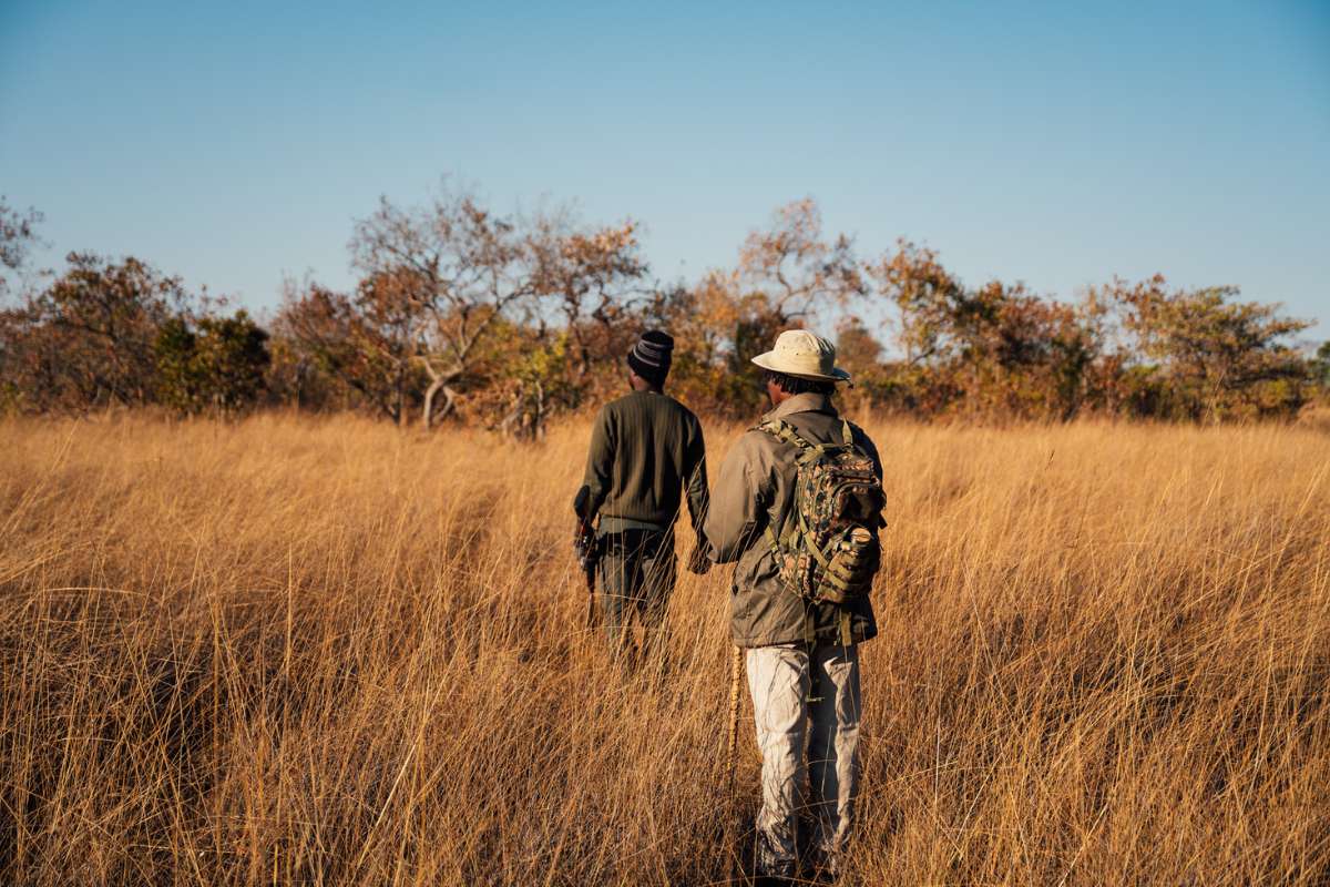 Classic Zambia, Musekese Camp, Kafue, Zambia