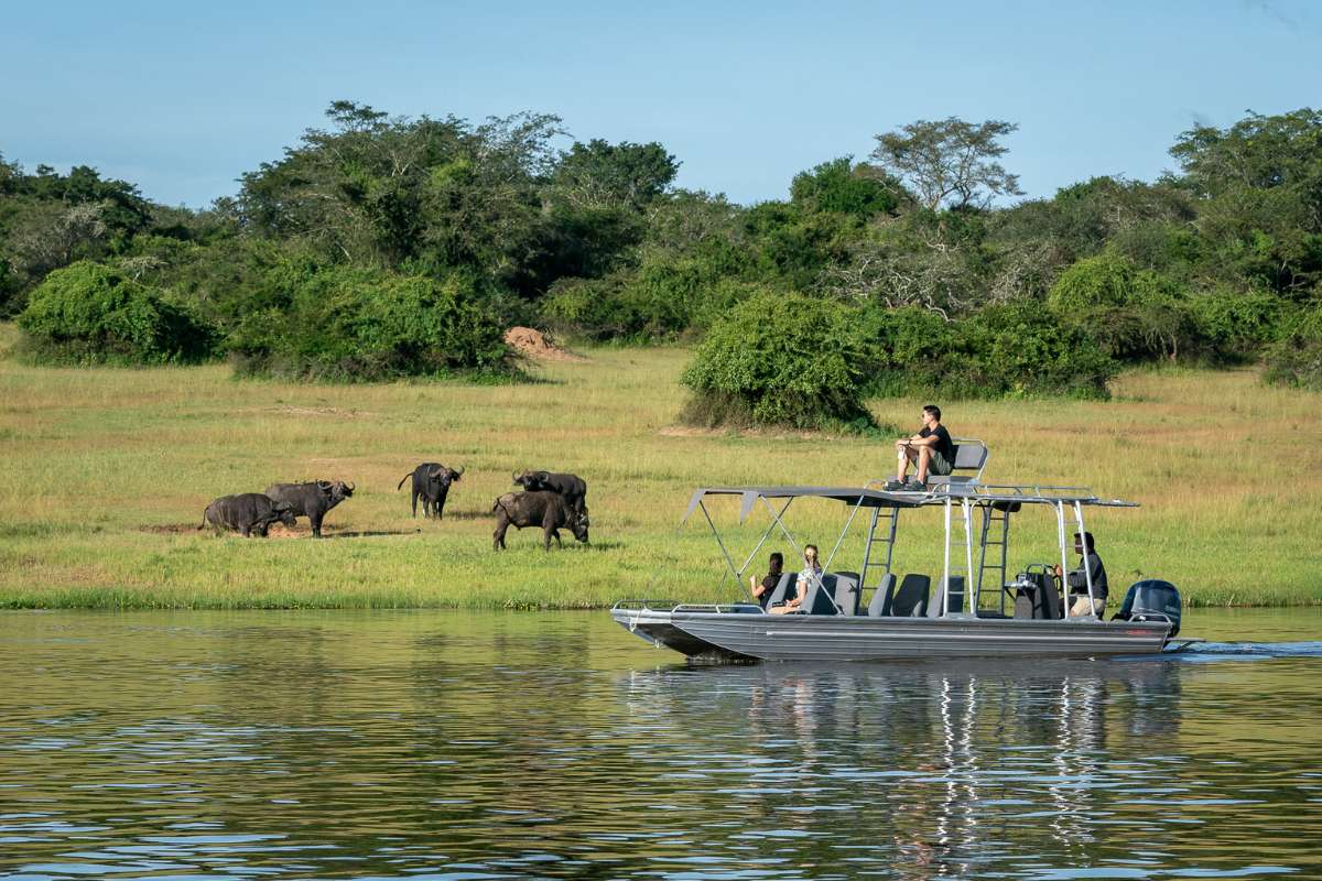 Dana Allen, Wilderness Safaris, Akagera National Park, Rwanda, Escape Safari Co