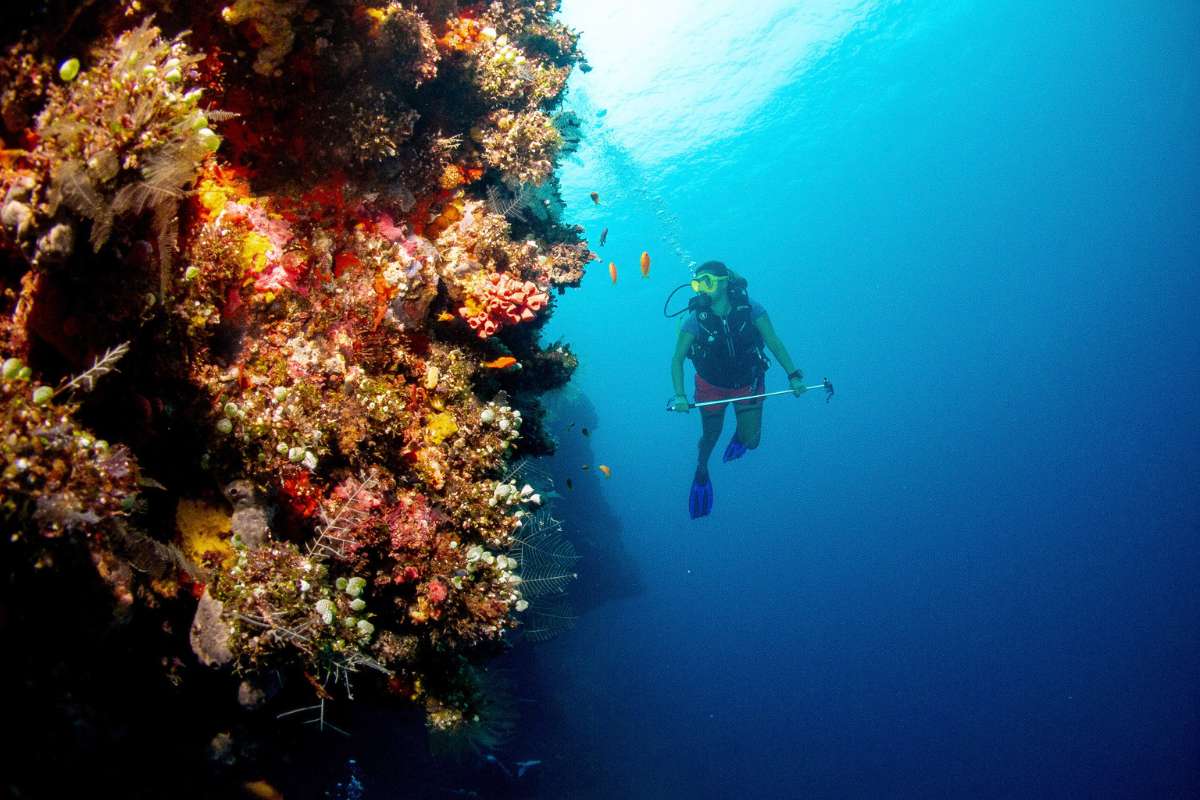 Dhigurah Island, Maldives, Escape Safari Co (2)