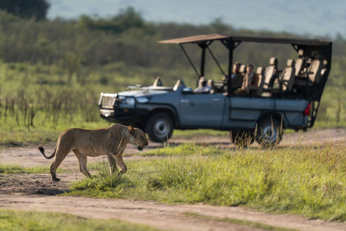Felix Studios, Wilderness Safaris, Akagera National Park, Rwanda, Escape Safari Co