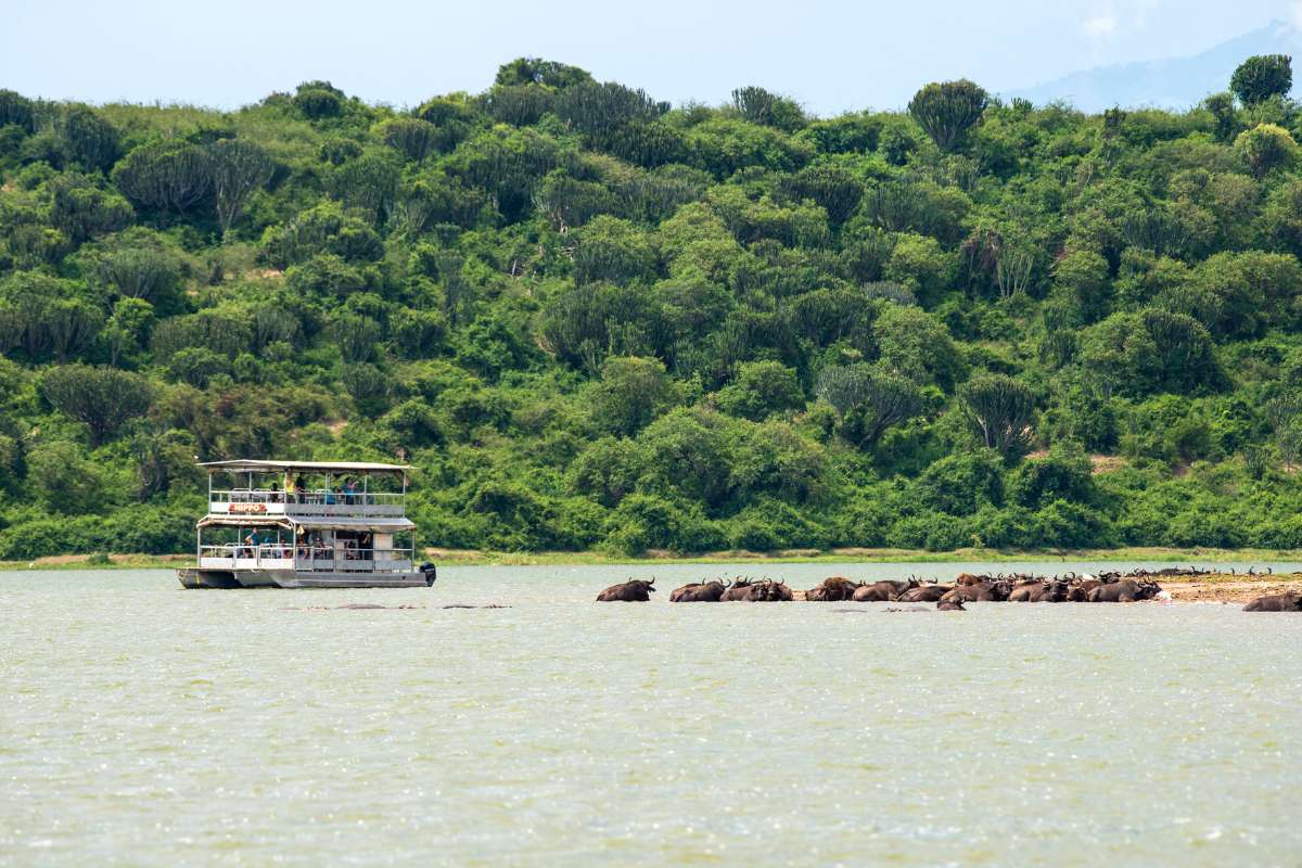 Kyambura Gorge Lodge, Volcanoes Safaris, Queen Elizabeth National Park, Uganda, Escape Safari Co