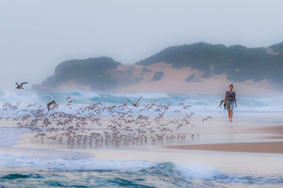 Machungulo Beach Lodge, Santa Maria, Mozambique, Escape Safari Co