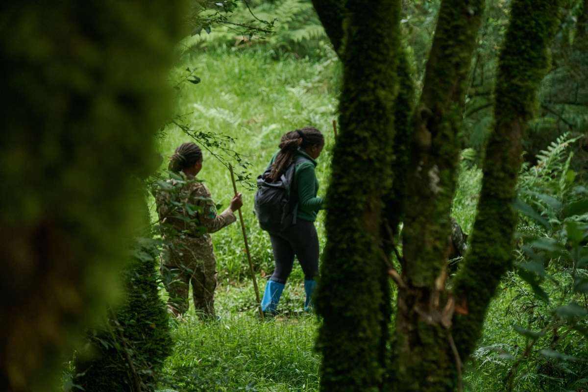 Mount Gahinga Lodge, Volcanoes Safaris, Mgahinga National Park, Uganda, Escape Safari Co