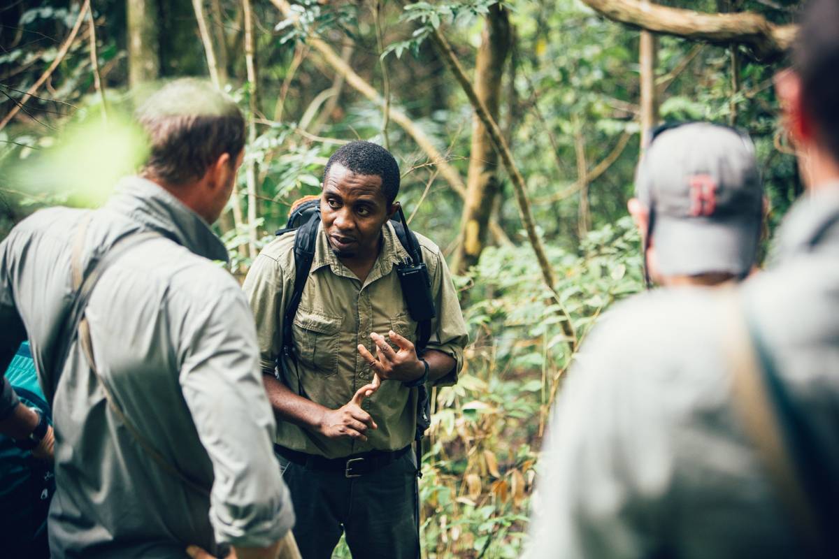 Nomad Tanzania, Greystoke Mahale, Mahale Mountain National Park, Tanzania, Escape Safari Co.