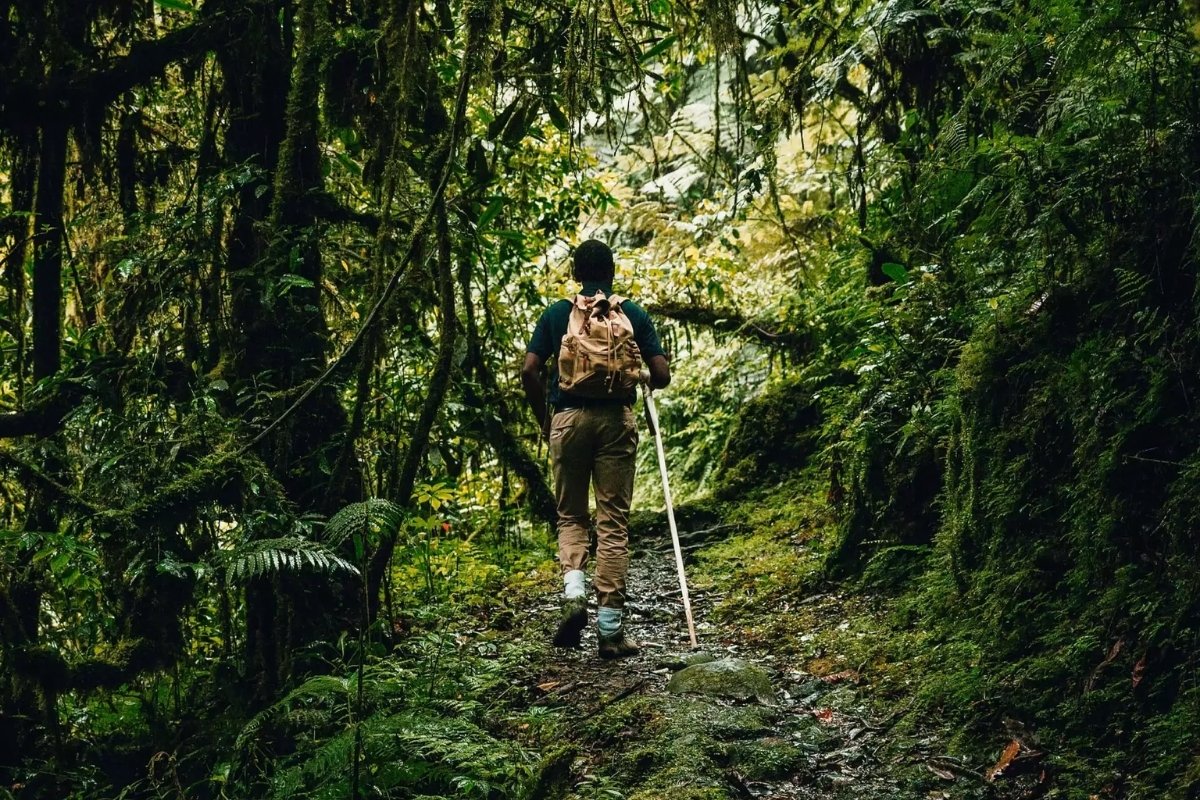 One And Only, Nyungwe National Park, Rwanda, Escape Safari Co