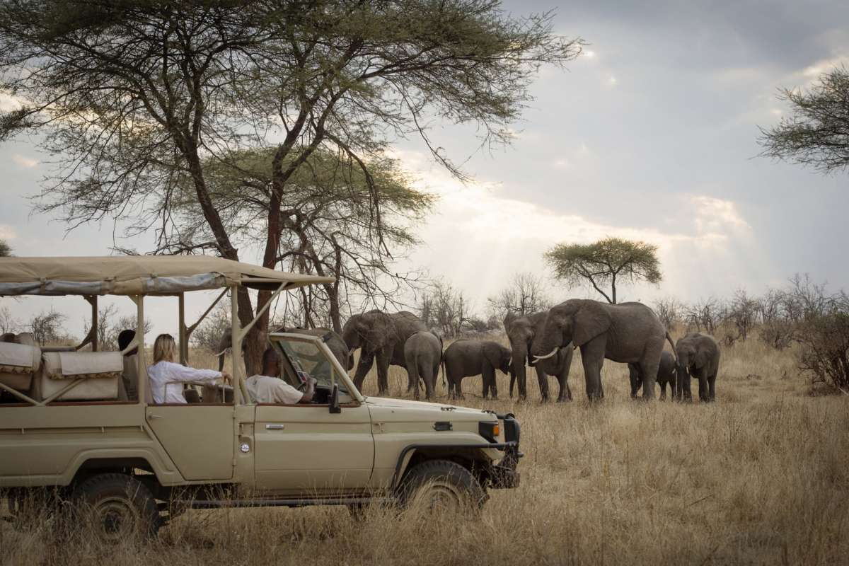Ruaha National Park, Tanzania, Escape Safari Co