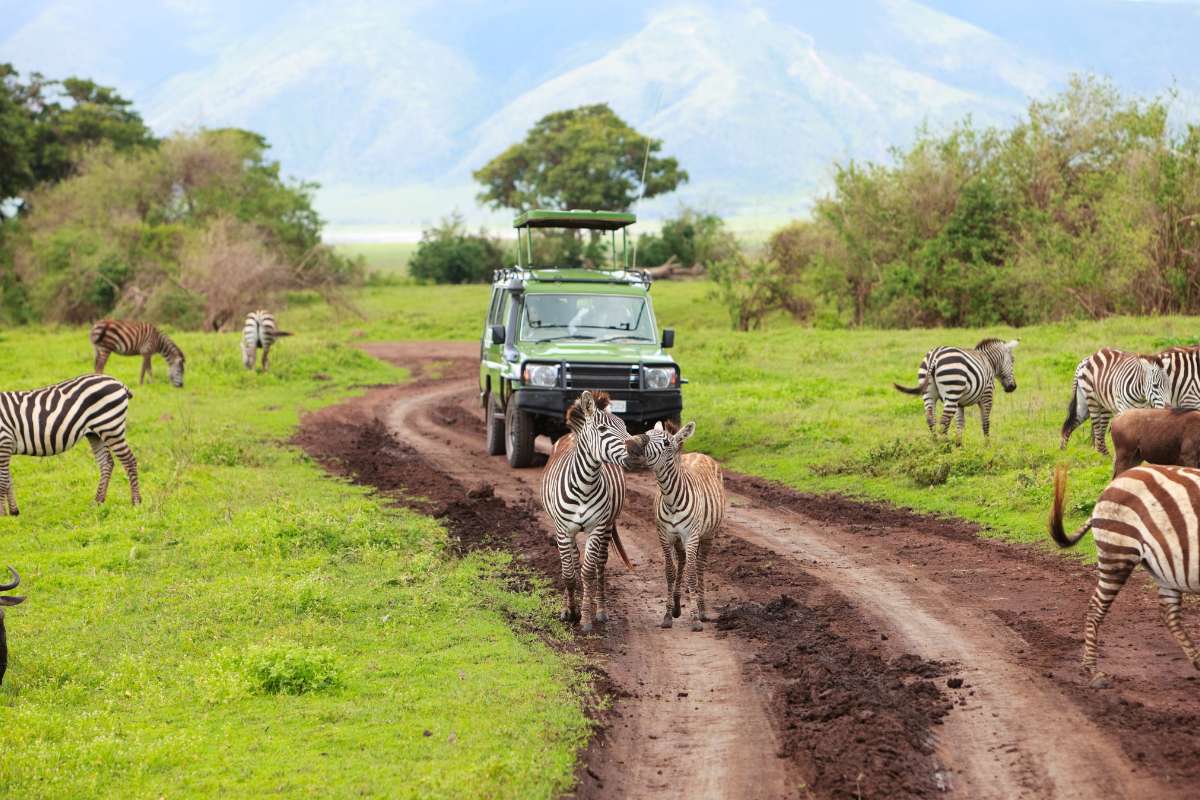 Tarangire National Park, Tanzania, Escape Safari Co.
