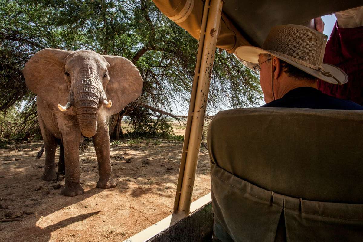 The Safari Collection, Samburu, Kenya, Escape Safari Co