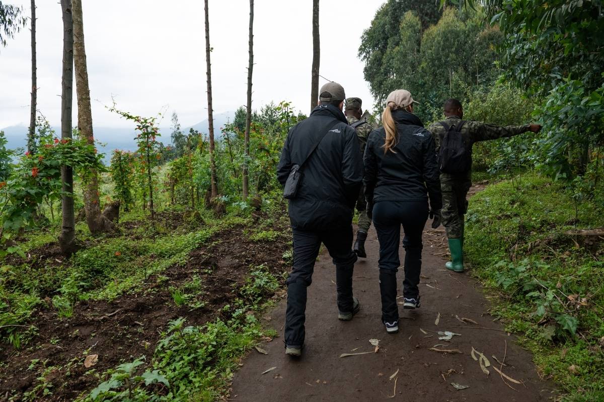 Volcanoes National Park, Rwanda, Escape Safari Co