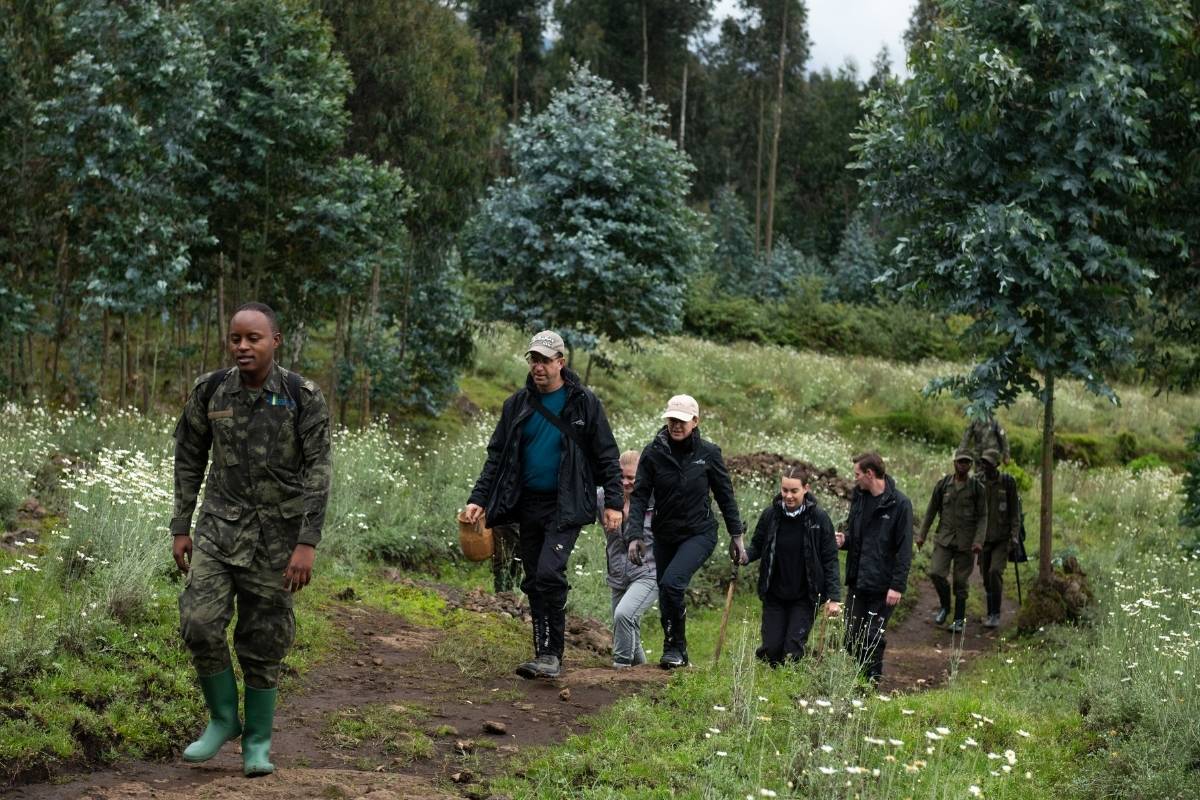 Volcanoes National Park, Rwanda, Escape Safari Co