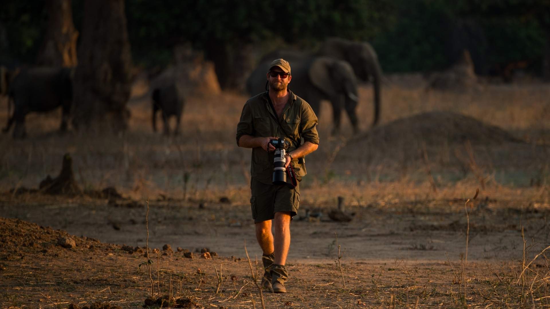 Photographic Safari Tours, Escape Safari Co