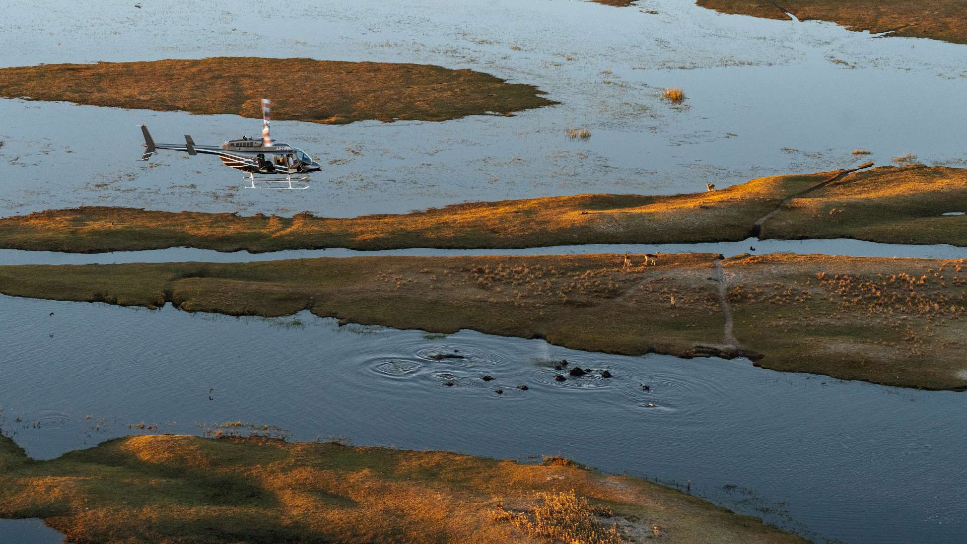 Helicopter Safari, Escape Safari Co.