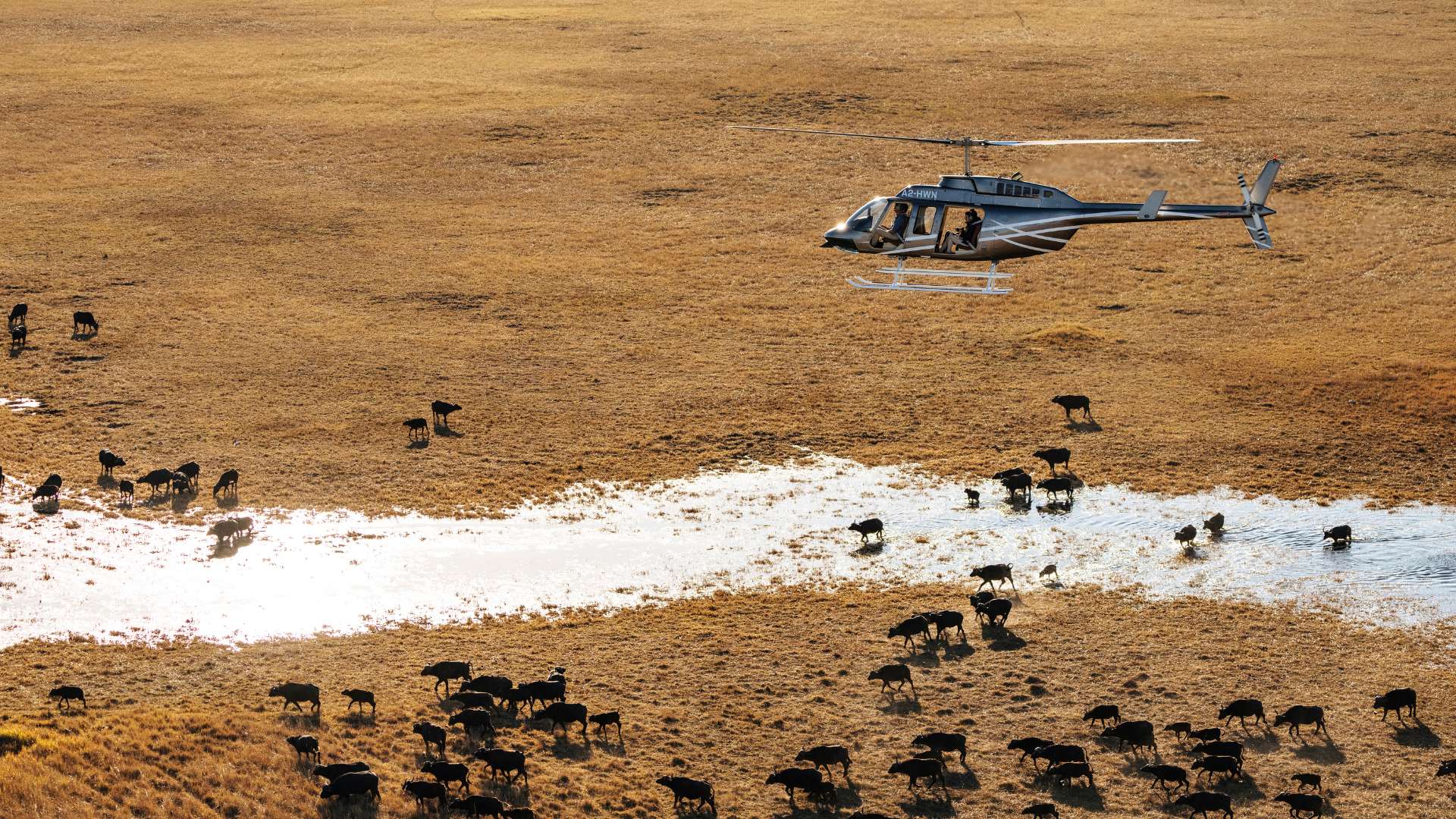 Helicopter Safari, Escape Safari Co