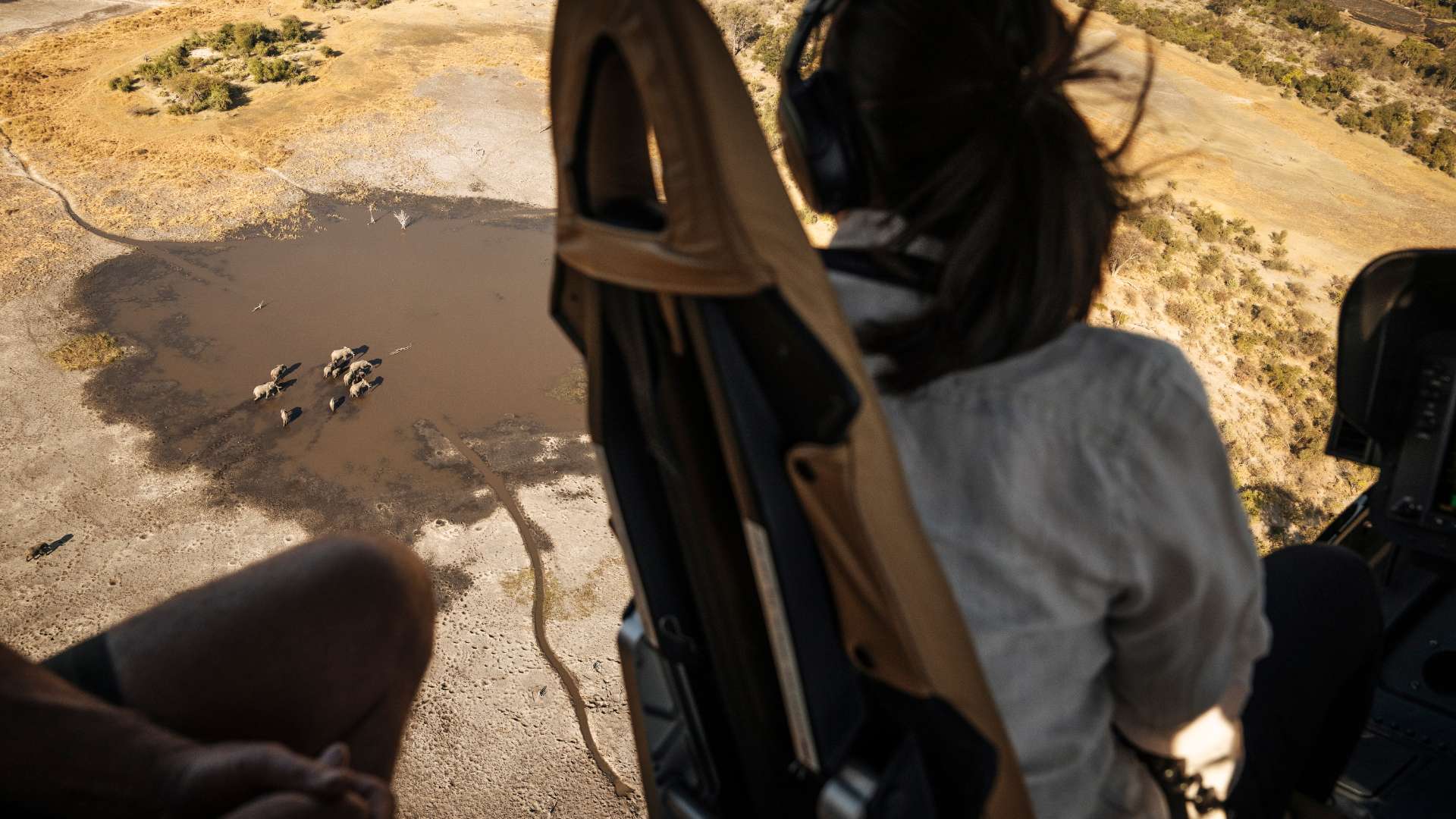 Helicopter Safari, Escape Safari Co