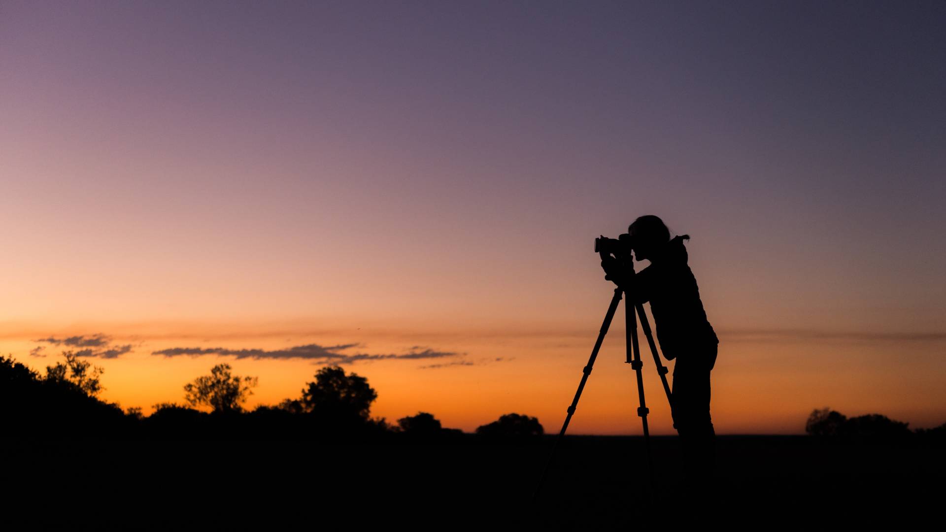 Photographic Safari Tours, Escape Safari Co