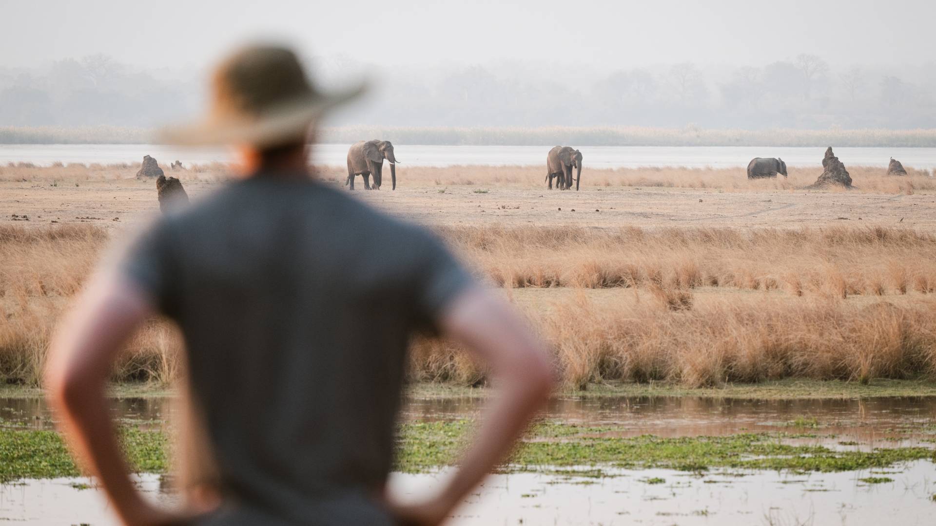 Walking Safari Experience, Escape Safari Co