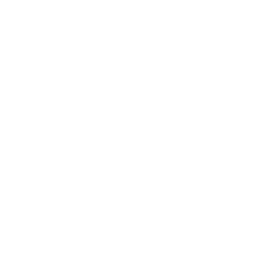 Blue Safari Seychelles, Safari Partner, Escape Safari Co