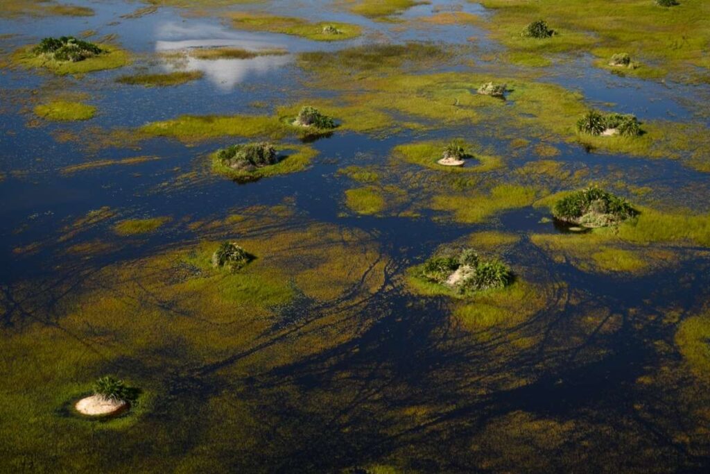 Botswana, Okavango Delta, Escape Safari Co