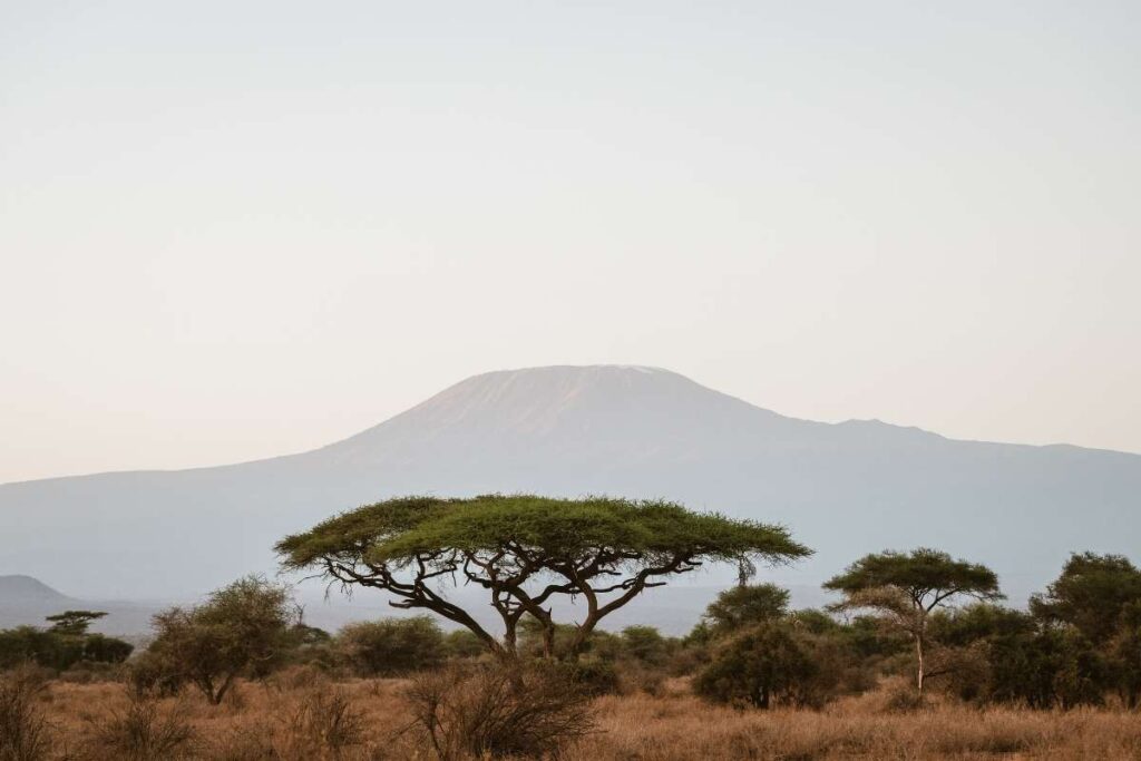 Kenya, Masaai Mara, Escape Safari Co