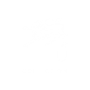 Leeu Collection, Safari Partner, Escape Safari Co