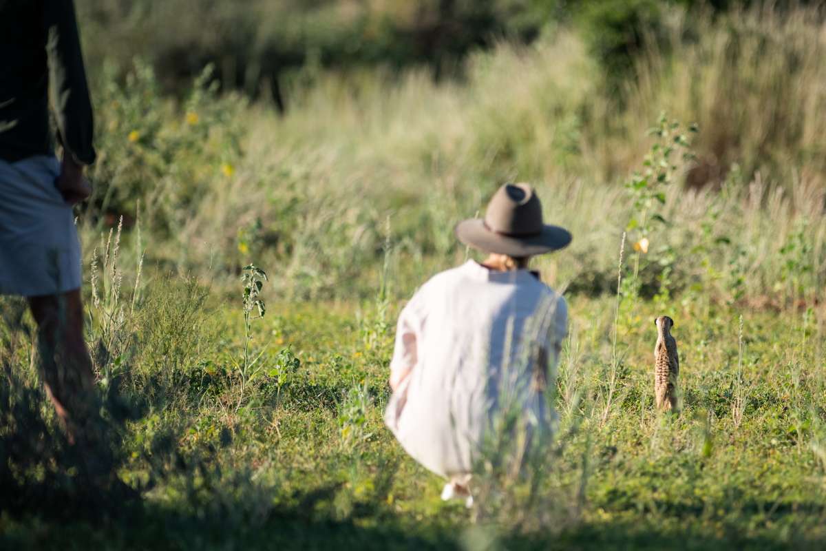 South Africa, Tswalu Kalahari, Meerkat sighting , Escape Safari Co