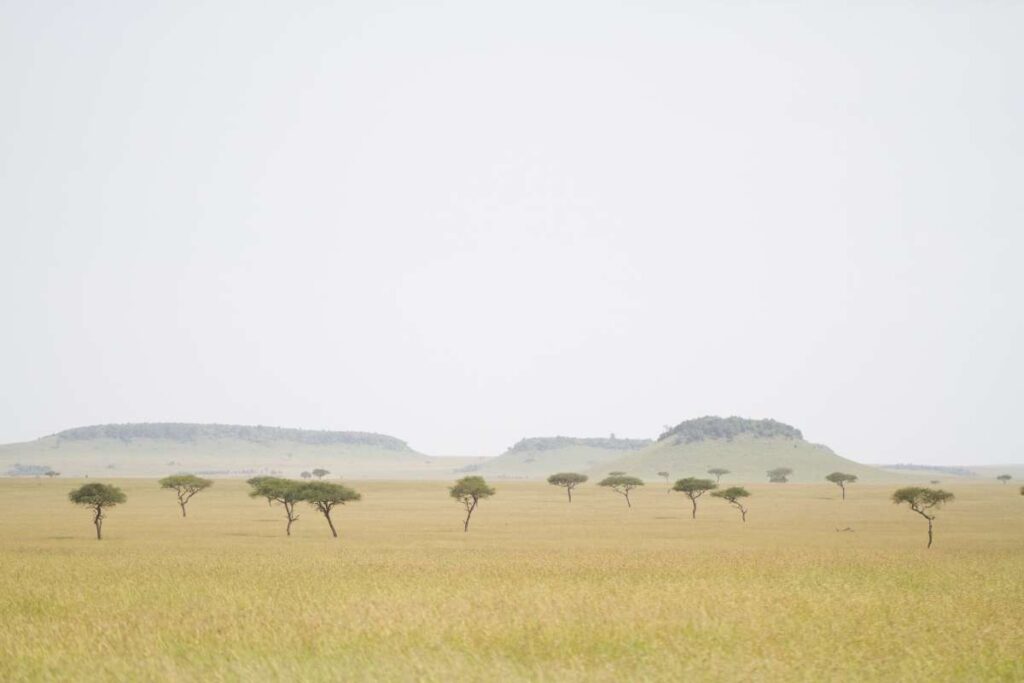 Tanzania, Landscape, Escape Safari Co