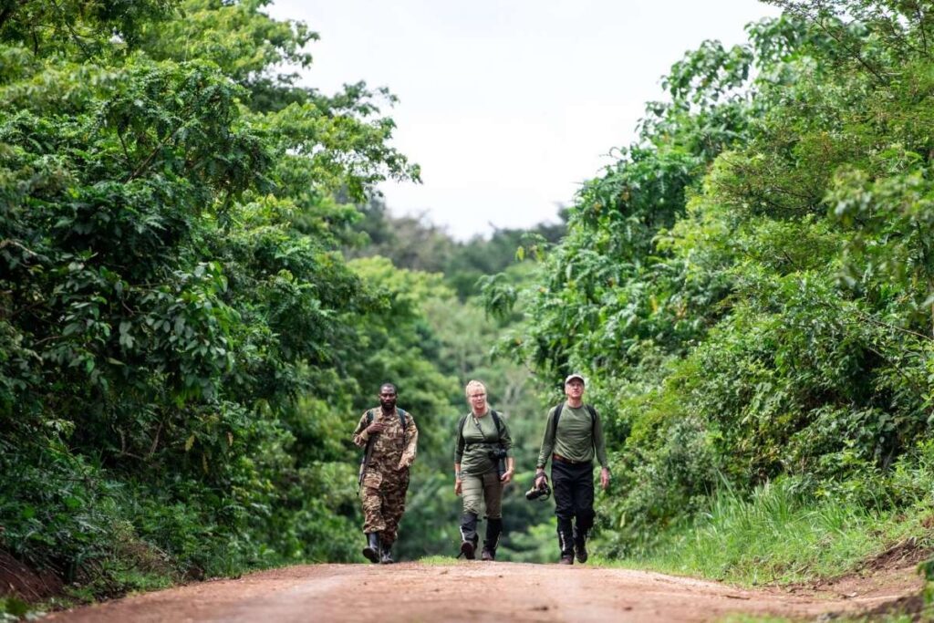 Uganda, Gorilla and Chimpanzee Trekking, Escape Safari Co