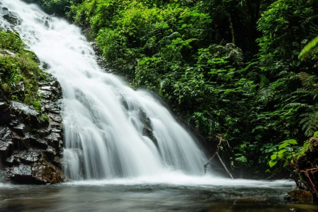 Uganda, Murchinson Falls, Escape Safari Co