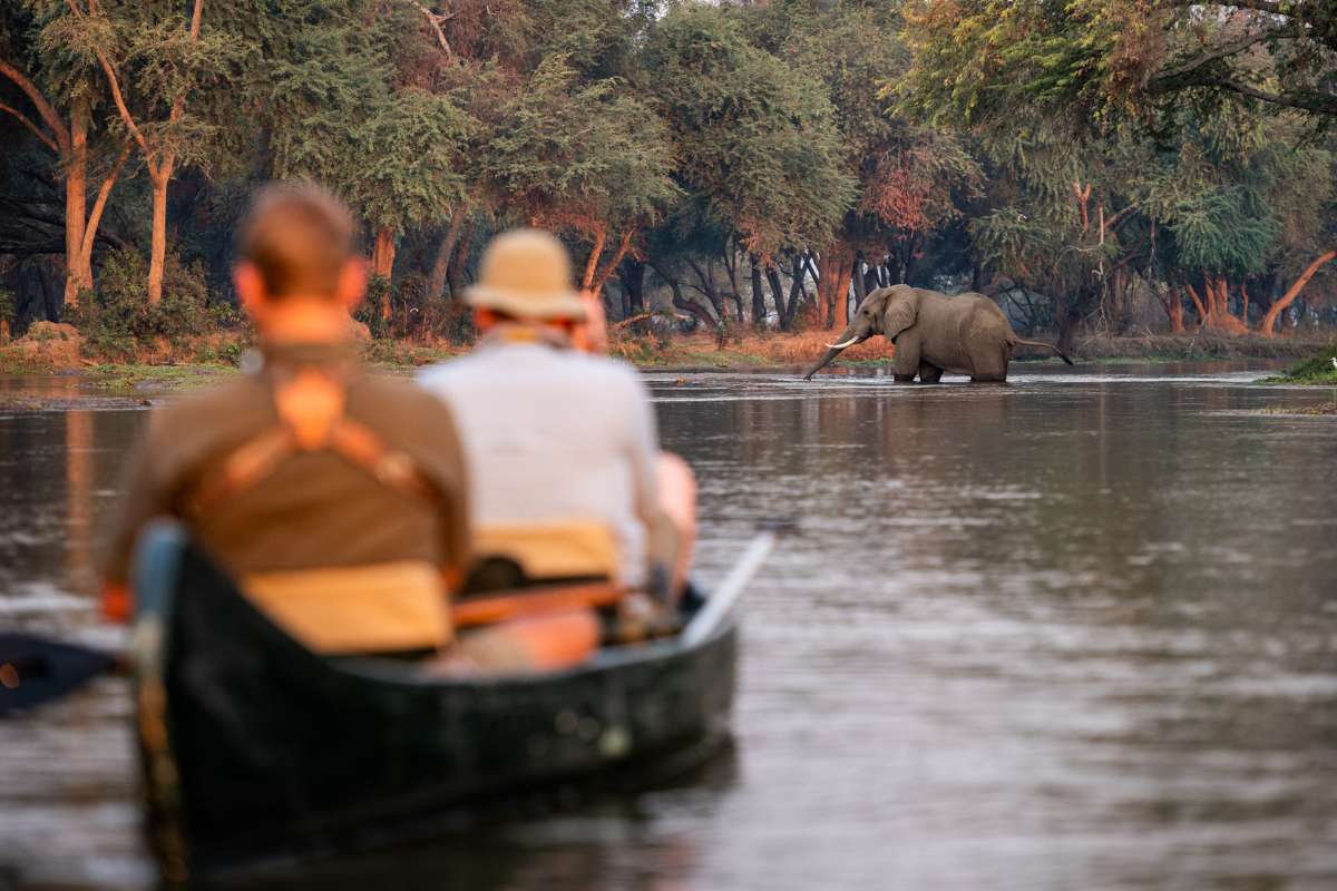 Zambia, Lower Zambezi, Canoeing safari with elephants, Escape Safari Co