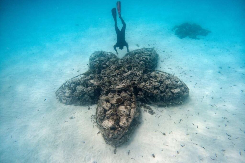 Zanzibar,&Beyond Mnembe Island, Diving Experience, Escape Safari Co