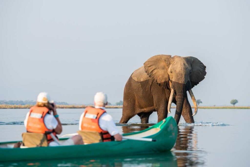 Zimbabwe, Mana Pools Canoe Safari, Escape Safari Co