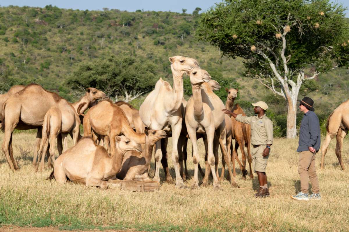 AndBeyond Suyian Lodge, Laikipai, Kenya, Escape Safari Co
