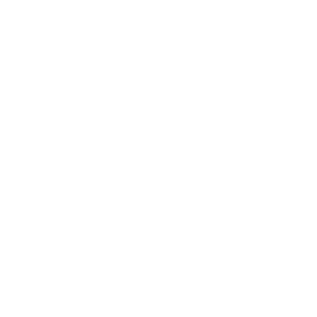Delta _ River Icon